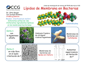 Lípidos de Membrana en Bacterias