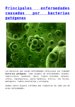 Principales enfermedades causadas por bacterias patógenas