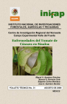 Enfermedades del Tomate de Cáscara en Sinaloa