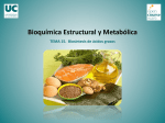 TEMA 15. Biosíntesis de ácidos grasos