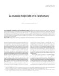 La cruzada indigenista en la Tarahumara - Alteridades