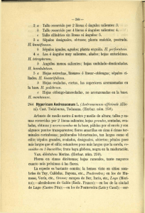 2 a Tallo recorrido por 2 líneas ó ángulos salientes: 3. b Tallo