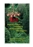 Bejucos y plantas trepadoras de Puerto Rico e Islas Vírgenes