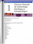 Glosario ilustrado de terminología listológica e histopatológica