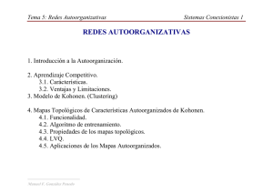 Tema 5: Redes Autoorganizativas Sistemas Conexionistas 1
