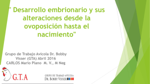 Desarrollo embrionario y sus alteraciones desde la ovoposición