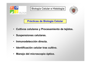 Prácticas de Biología Celular Biología Celular e Histología • Cultivos