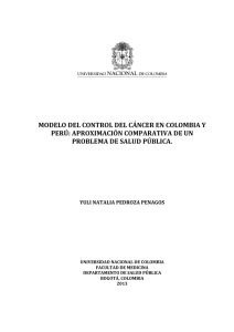 modelo del control del cáncer en colombia y perú