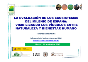 la evaluación de los ecosistemas del milenio de españa