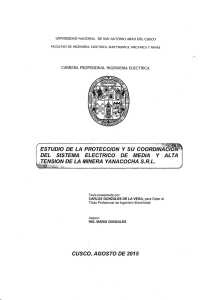 ESTUDIO .DE LA PROTECCION Y SU COORDlNllCI , DEL