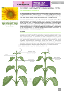 regulacion del crecimiento y desarrollo de las plantas