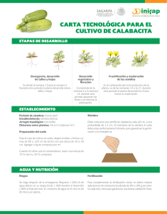 carta tecnológica para el cultivo de calabacita - inifap