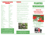 Plantas venenosas - City of Granite Shoals