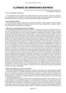 clonado de embriones bovinos - Sitio Argentino de Producción Animal