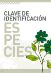 cLave de ideNtiFicacióN - Mancomunidad de Municipios Sostenibles