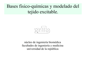 Diapositivas Parte 1 - Nucleo de Ingenieria Biomedica
