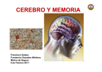 cerebro y memoria