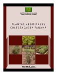 IDIAP 2009 Plantas medicinales colectadas en Panamá