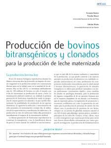 Producción de bovinos
