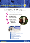 FASTest E.coli-K99 Strip - Medica-Tec