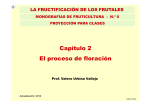 Capítulo 2 El proceso de floración