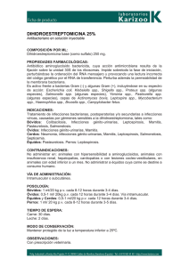 DIHIDROESTREPTOMICINA 25%