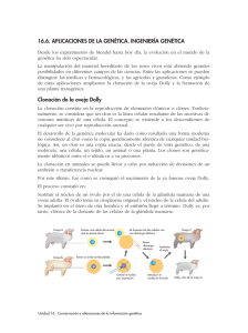 Ingeniería genética - ies "poeta claudio rodríguez"