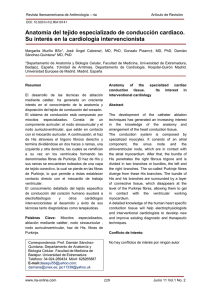 Anatomía del tejido especializado de conducción cardiaco. Su