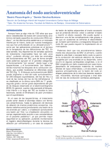 Cuadernos de Estimulación Cardiaca Nº 13