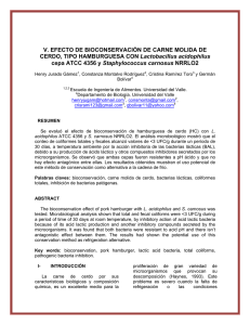 Imprimir este artículo