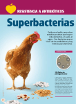 Superbacterias en el pollo