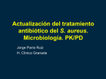 Actualización del tratamiento antibiótico del Staphylococcus Aureus