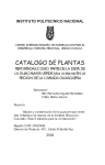 catalogo de plantas - Comisión Nacional para el Conocimiento y
