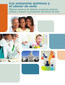 Las sustancias qu&iacute;micas y el c&aacute;ncer de seno