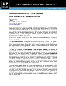 Nota de Actualidad Número 1 – Enero de 2009 2009: más neuronas