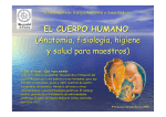 EL CUERPO HUMANO (Anatomía, fisiología, higiene y salud para
