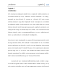 Capítulo 7. Conclusiones (archivo pdf, 41 kb)