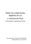 Sobre los cuaterniones, álgebras de Lie, y matrices de Pauli.
