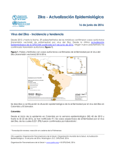 Zika - Actualización Epidemiológica