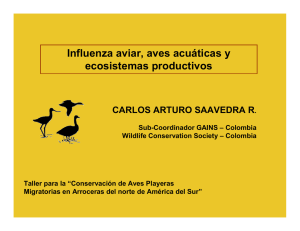 Influenza aviar, aves acuáticas y ecosistemas productivos