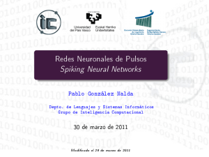 Redes Neuronales de Pulsos Spiking Neural Networks