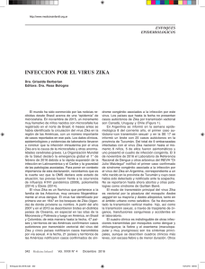 infeccion por el virus zika