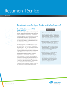 Resumen Técnico - AECA