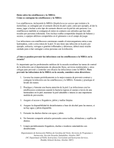 Datos sobre los estafilococos y la MRSA