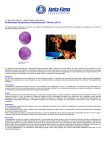 Enfermedad Respiratoria Parainfluenza 3 Bovina (PI-3)