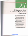 El Sistema Nervioso: C. Neurofisiología Motora e Integradora.