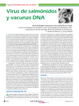 Virus de salmónidos y vacunas DNA