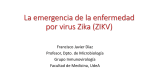 La emergencia de la enfermedad por virus Zika (ZIKV)