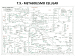 T.9.- Metabolismo celular