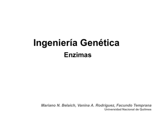 Enzimas - Ingeniería Genética A